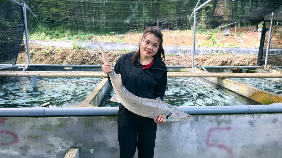 清化省鱘魚養殖：從山區困境到經濟突破