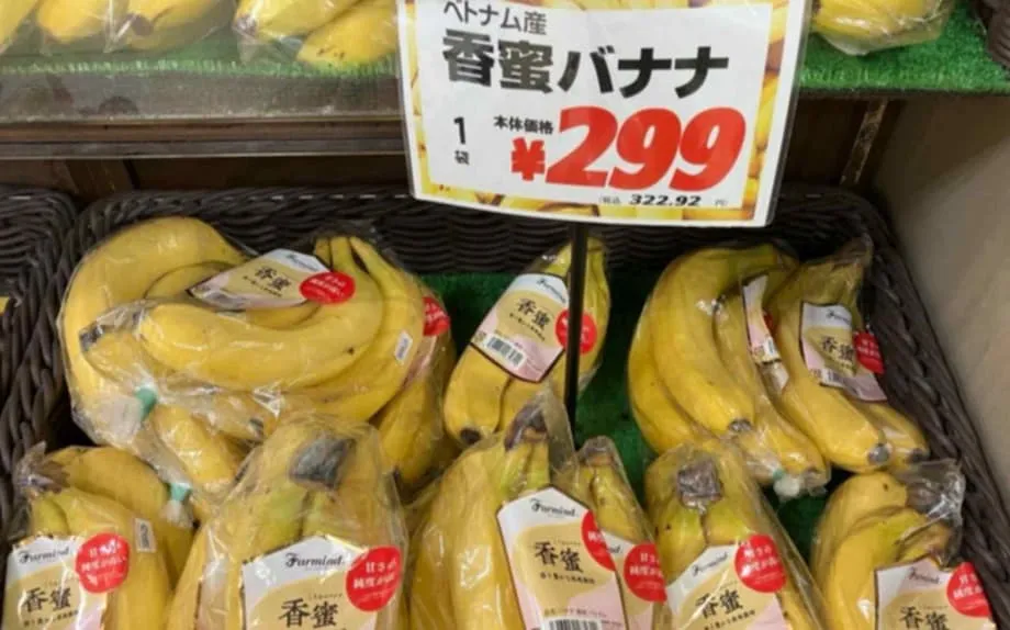 越南香蕉在日本市場站穩腳步：亞洲香蕉貿易版圖轉變
