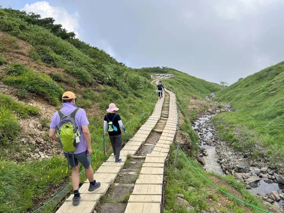 日本避暑旅遊熱潮：氣候變遷如何重塑夏季觀光