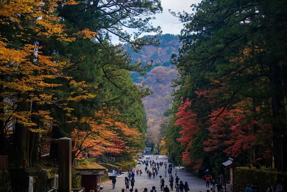 日本賞早秋紅葉的5個景點：搶先欣賞初秋色彩