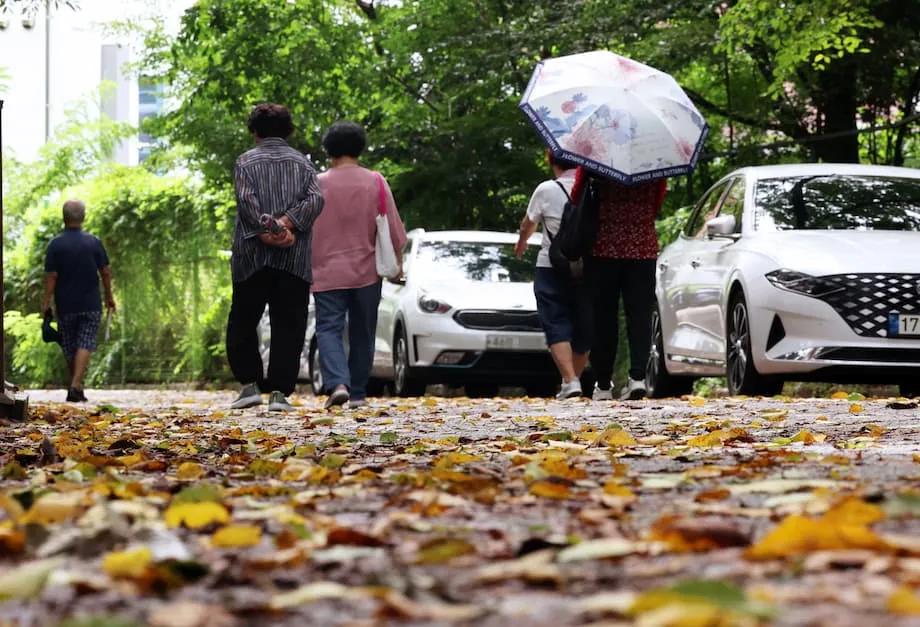 南韓拉尼娜警戒升高，初秋多雨，並可能提早出現寒流