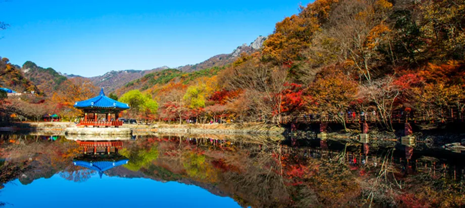 2025 韓國秋季賞楓指南:楓紅高峰期、最佳景點與行程規劃