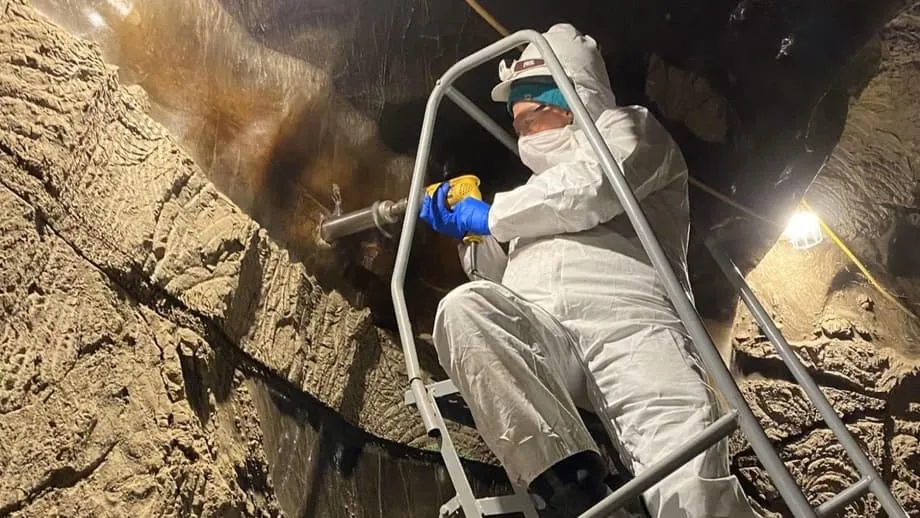 北極古老微生物正在甦醒，恐加速全球暖化