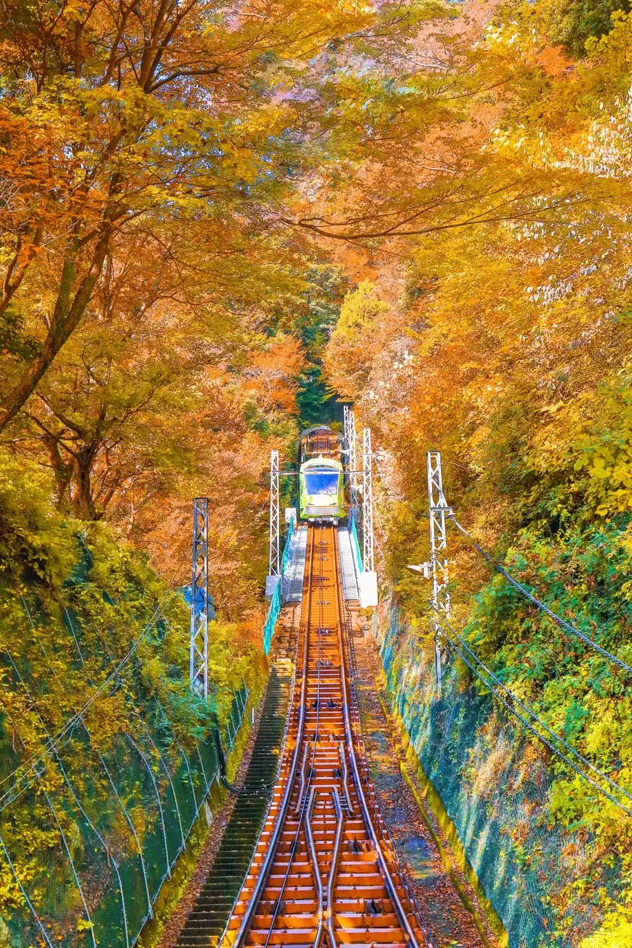 秋日日本鐵道之旅：賞楓最佳列車路線