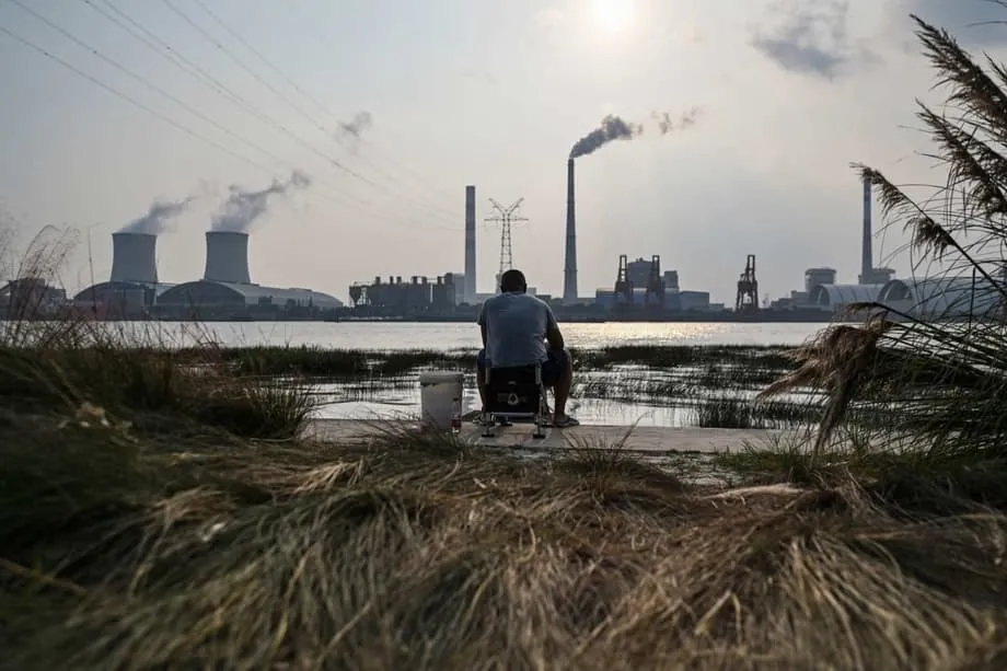 中國暫不出資巴西森林基金，COP30上呼籲富裕國家帶頭