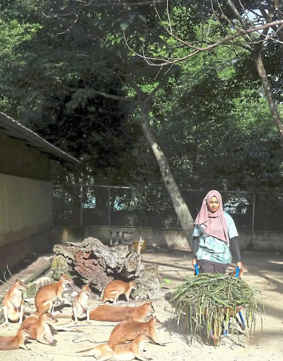 志工透過 KeeperKu 計畫為國家動物園帶來改變