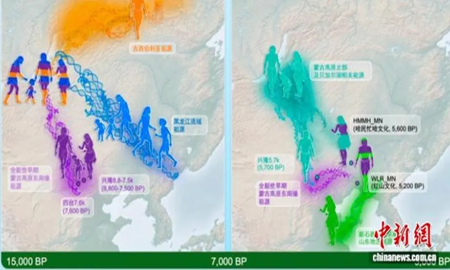 古代 DNA 改寫東亞史前史：家庭早已是社會核心