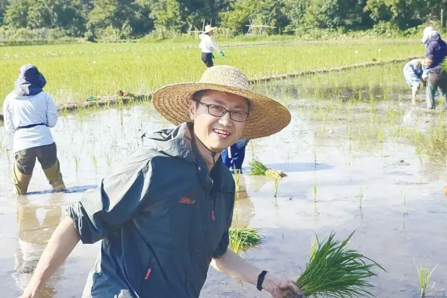 中國克隆雜交稻突破，可能為全球糧食安全帶來革命性改變