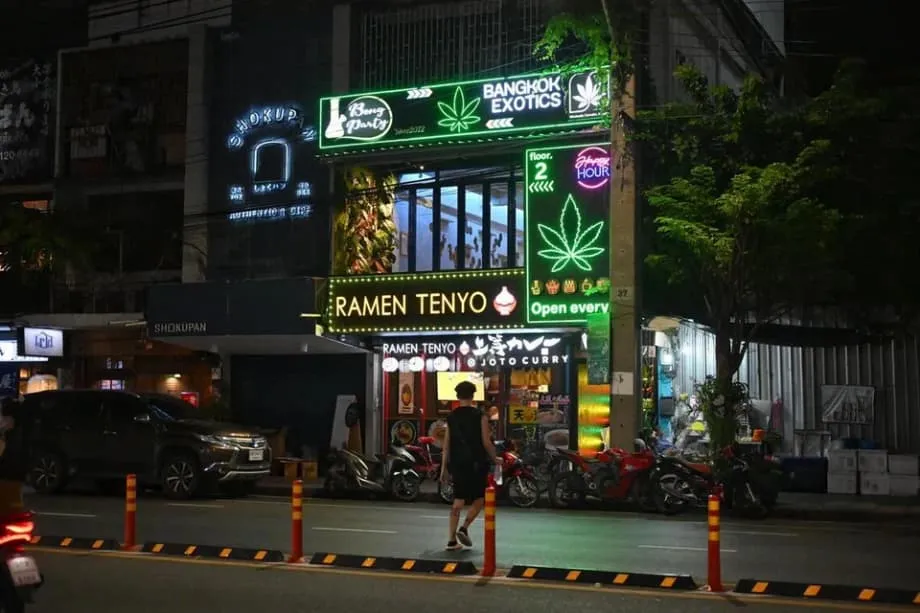 泰國大麻實驗：從經濟希望到社會憂慮