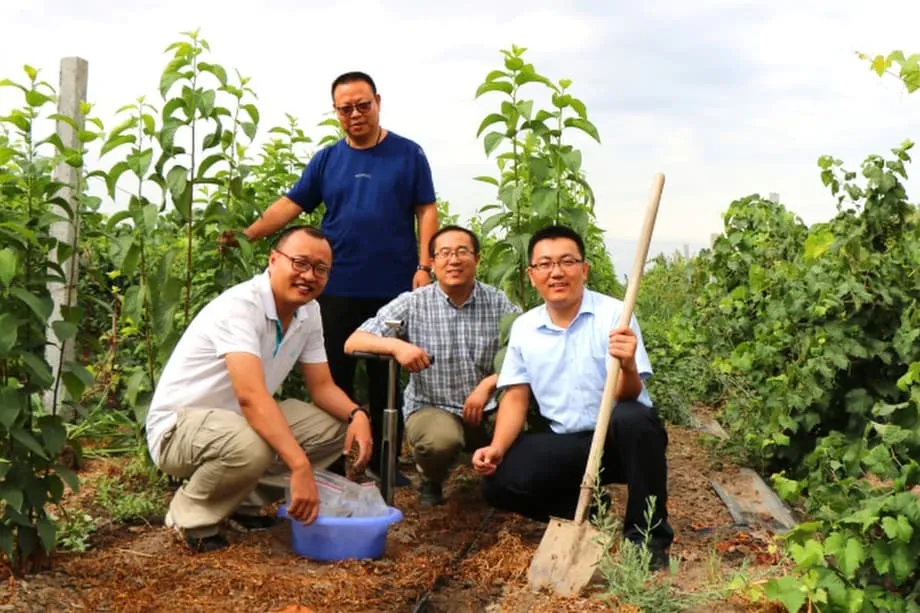 中國在戈壁沙漠培育軍用級橡膠，確保戰略供應鏈