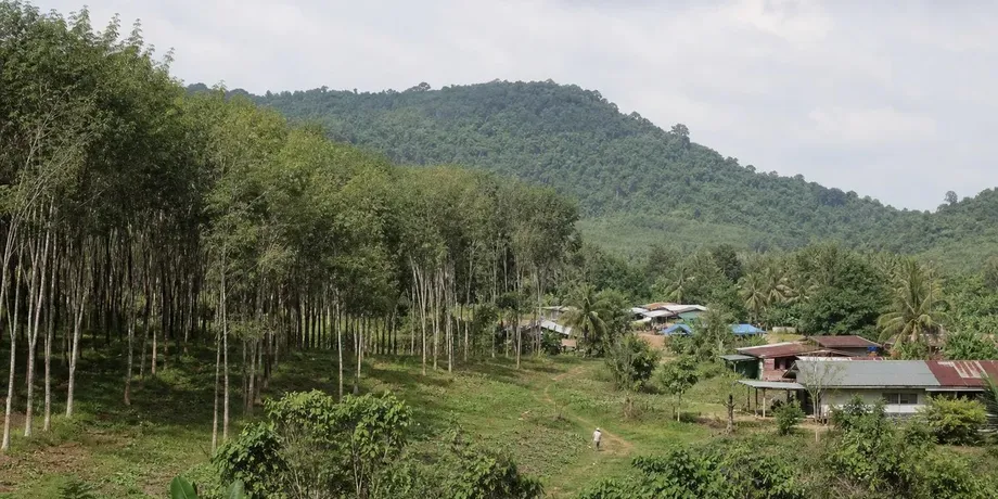 Thailand's Reservoir Plan Pits Industrial Water Demand Against Villages and Elephant Habitat