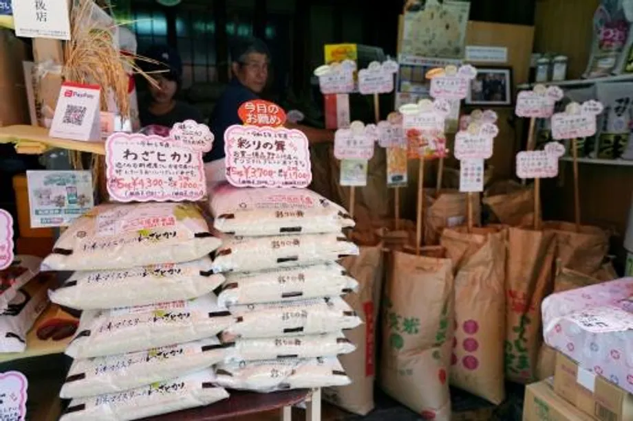 日本米價飆漲：成因、影響與糧食安全之戰